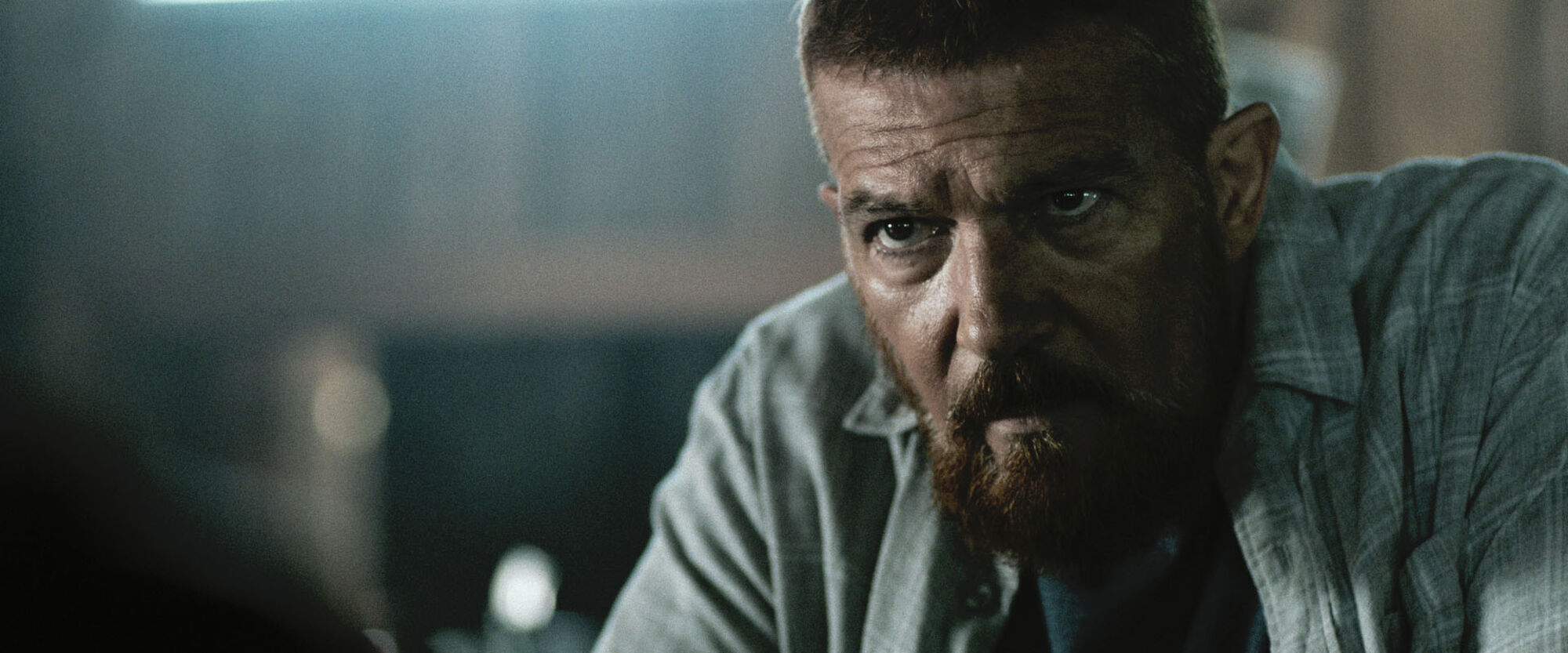 Scene Image 7