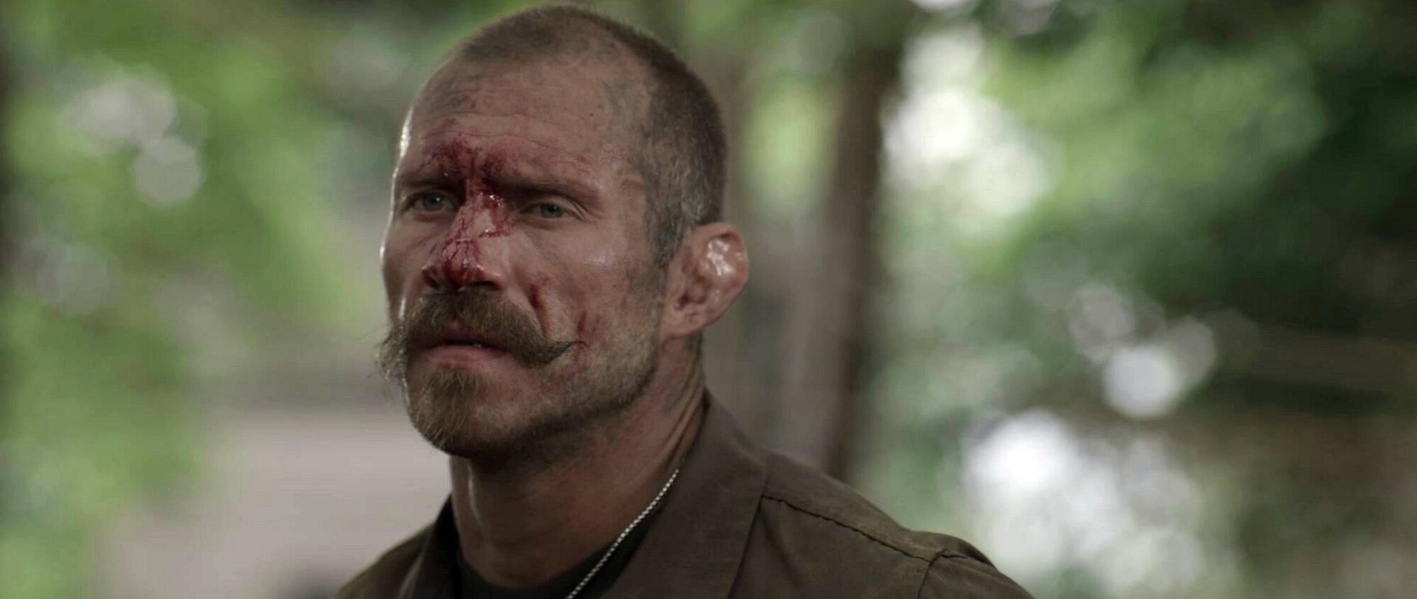 Scene Image 8