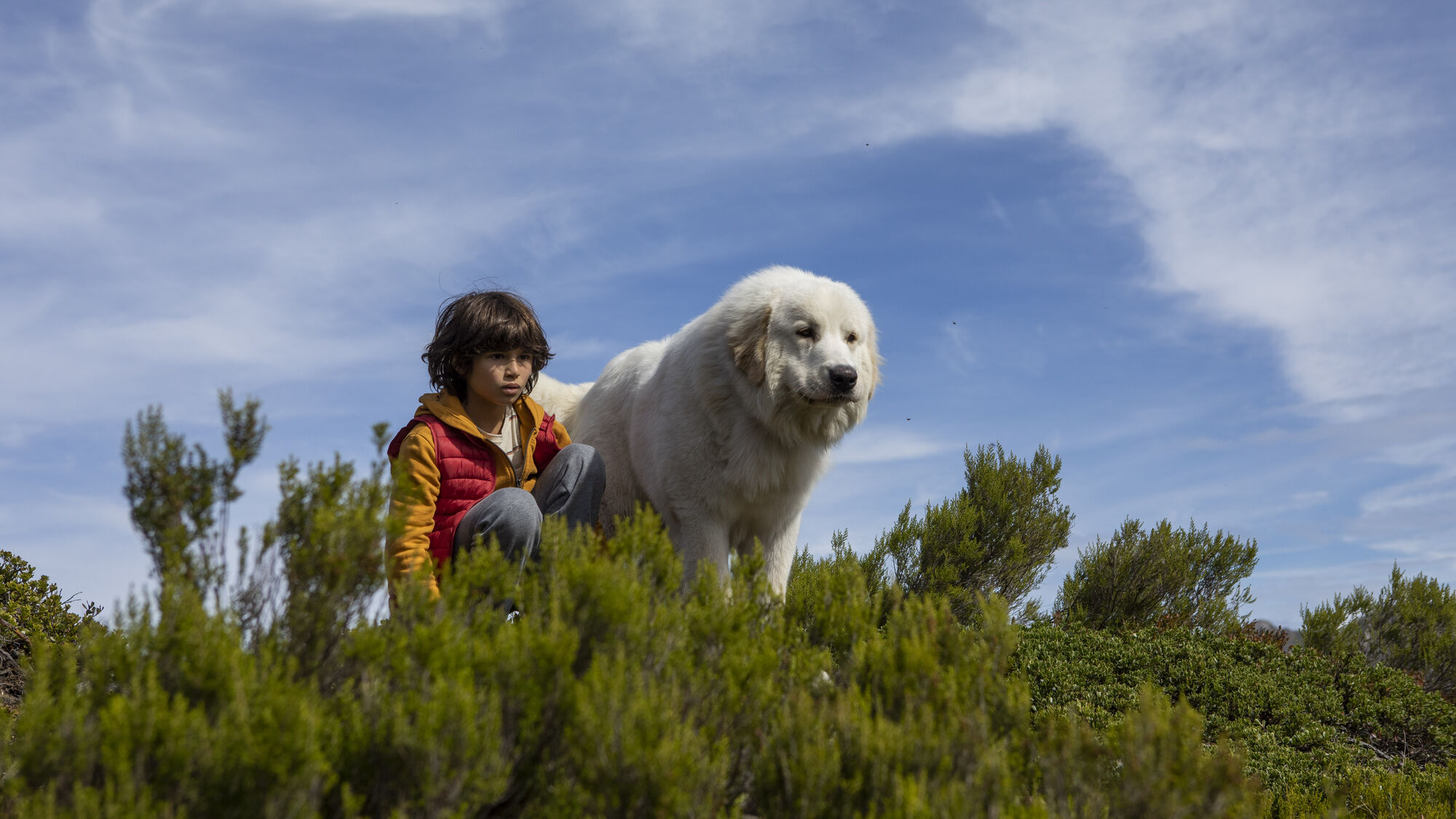 Scene Image 1