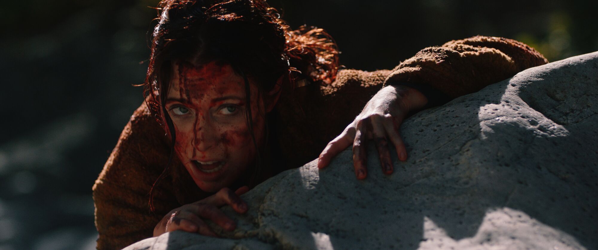 Scene Image 1