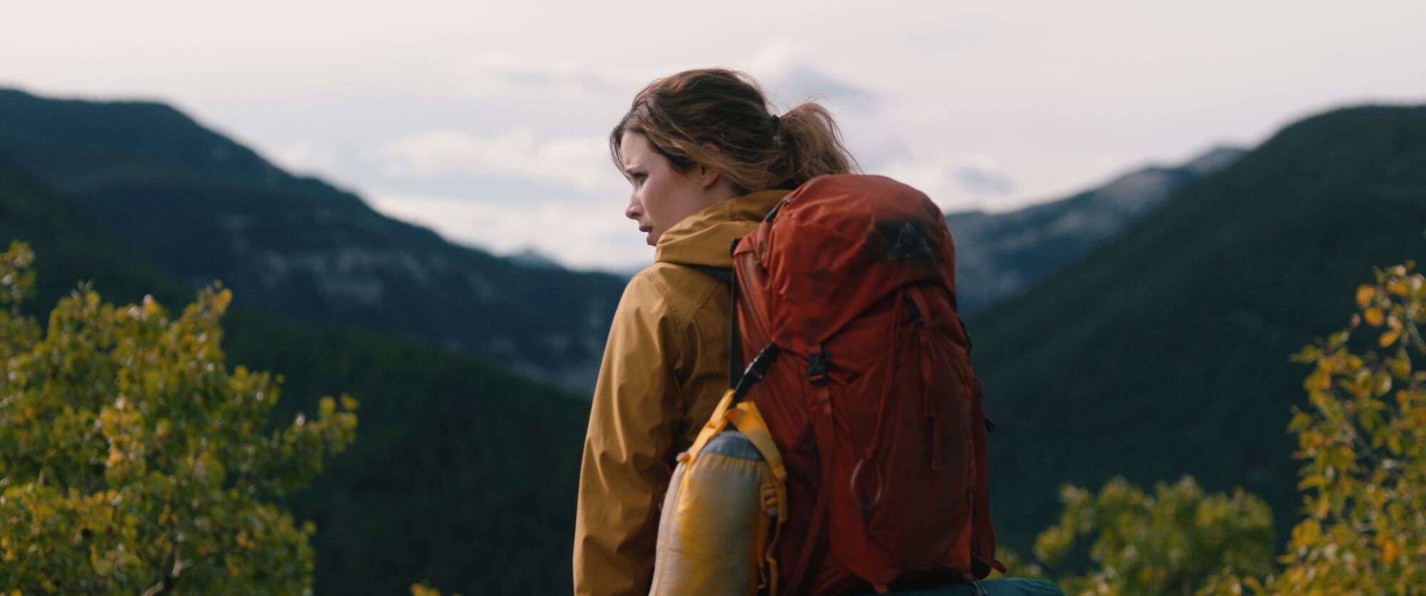 Scene Image 2
