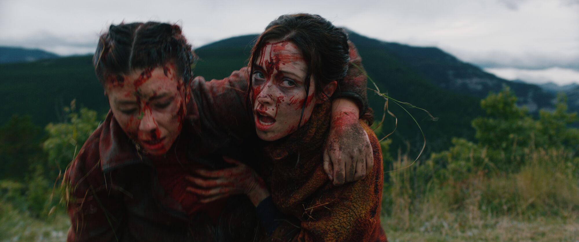 Scene Image 4