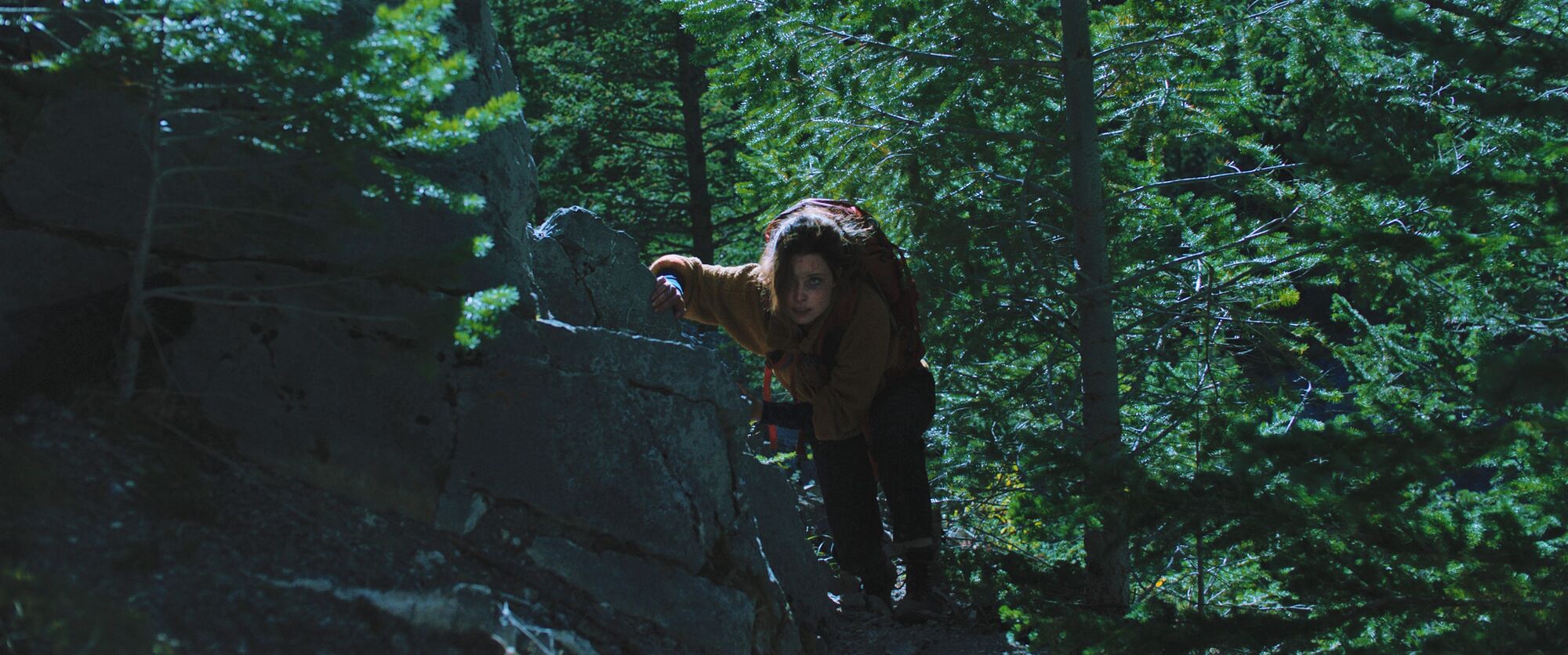 Scene Image 5