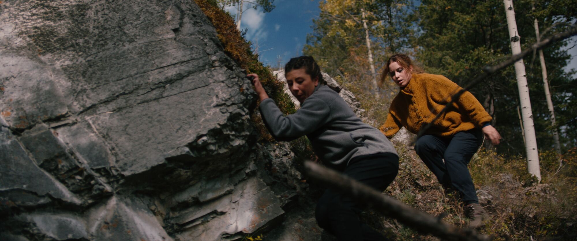 Scene Image 8