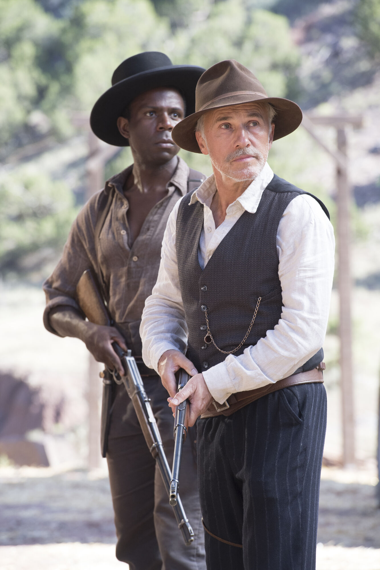 Scene Image 8
