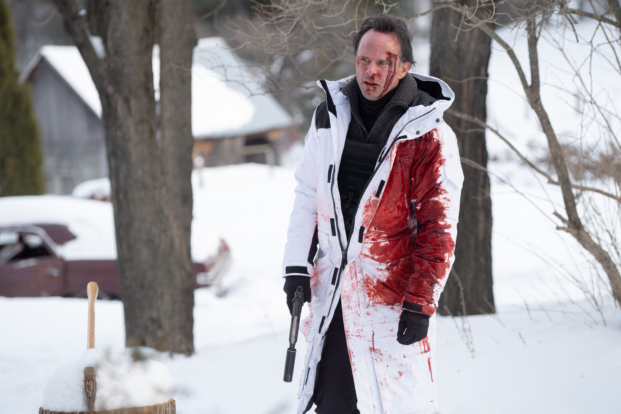 Scene Image 2