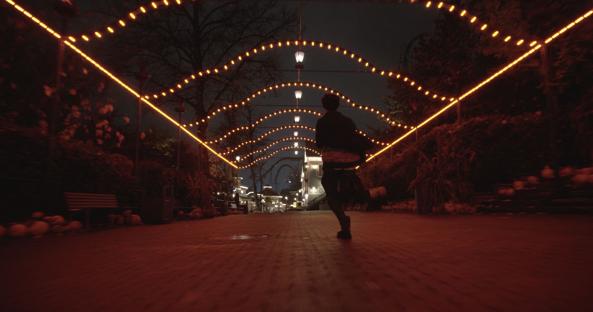 Scene Image 5