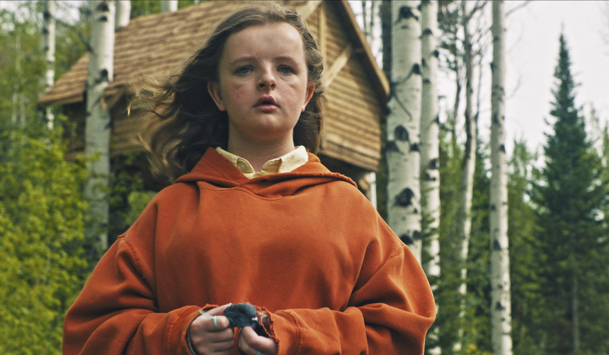 Scene Image 3