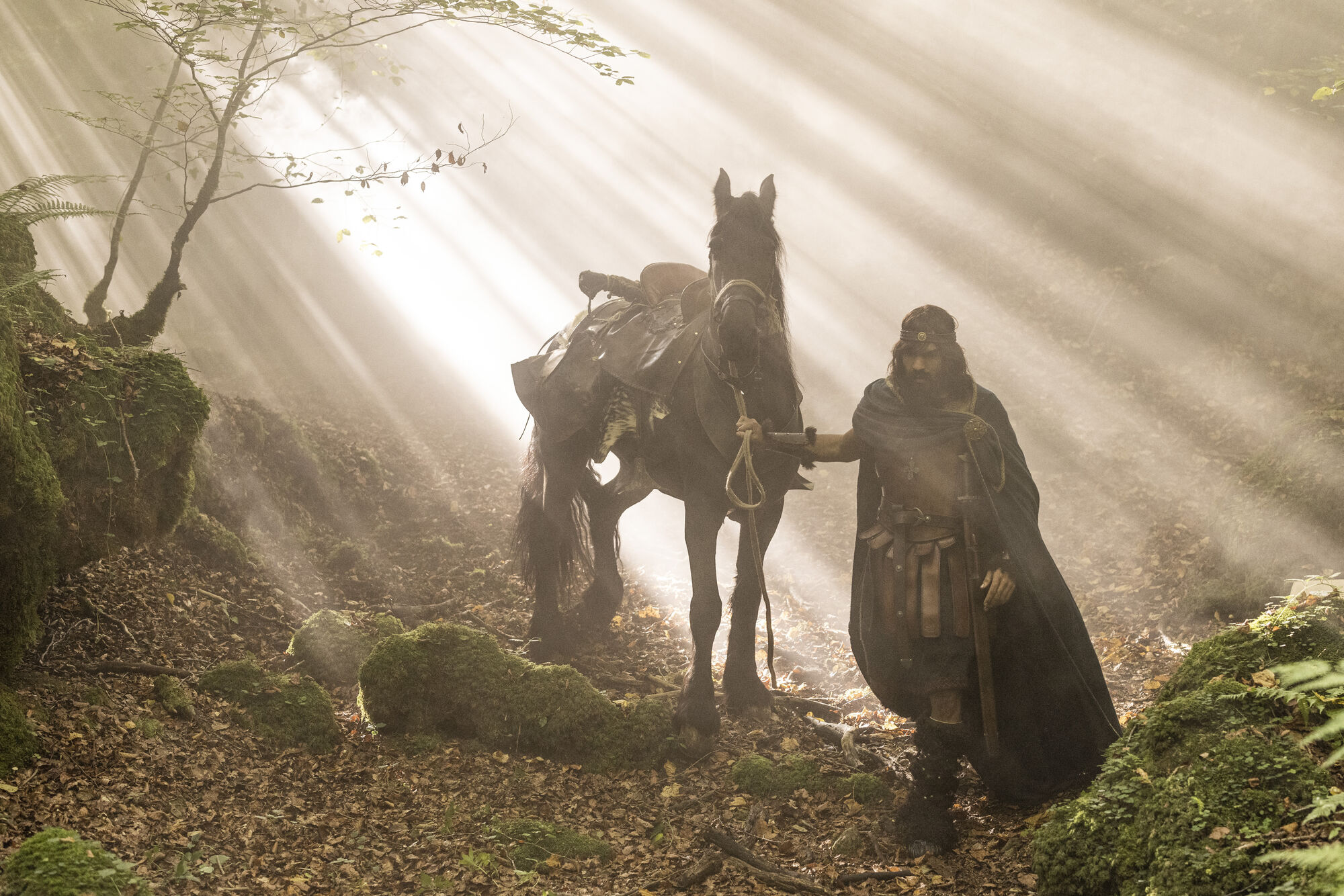 Scene Image 6