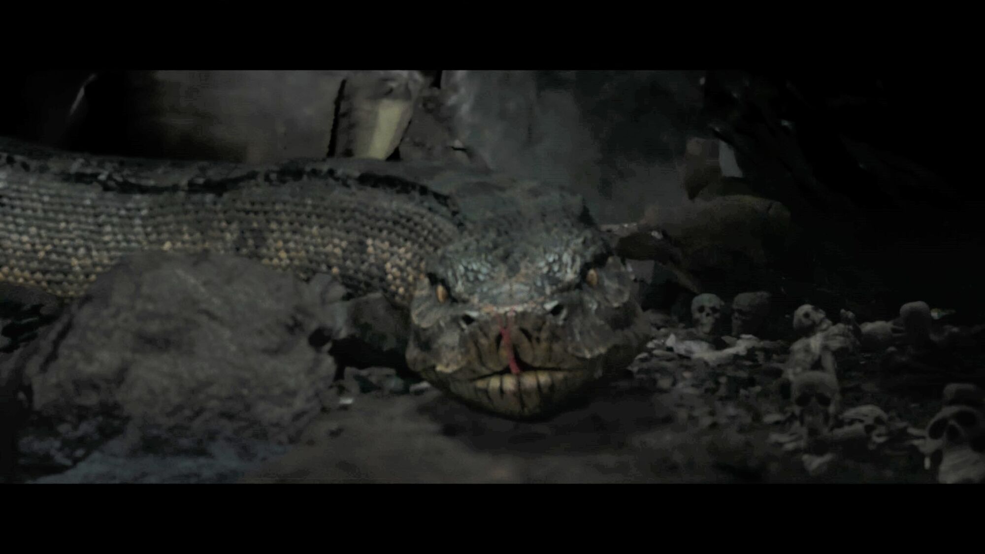 Scene Image 4