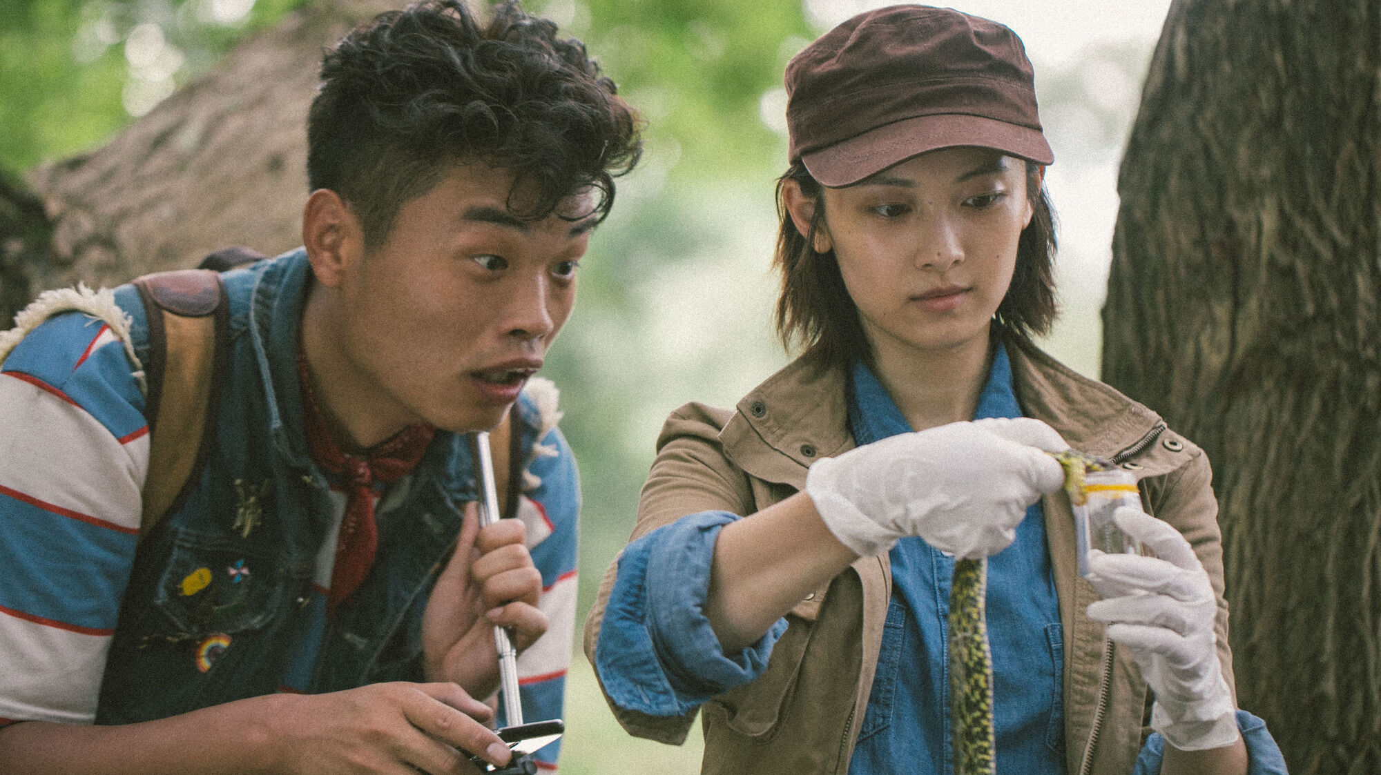Scene Image 8