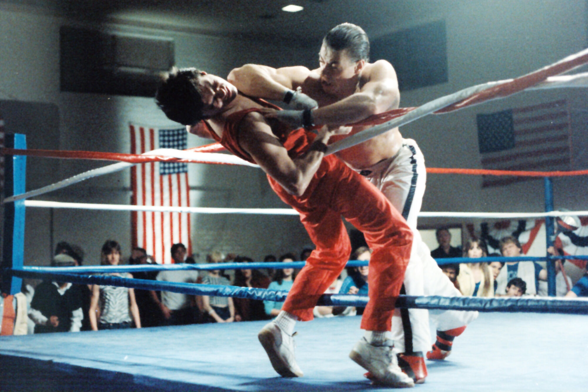 Scene Image 5
