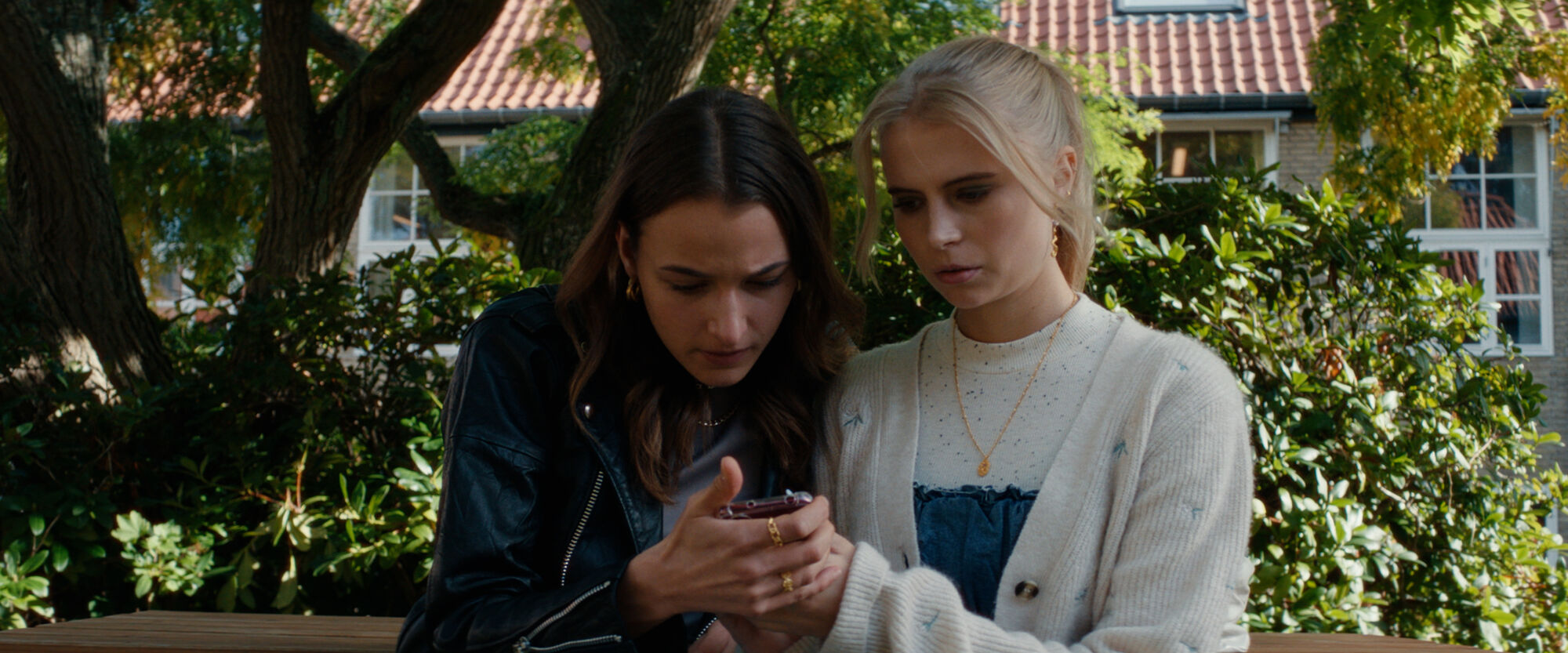 Scene Image 8