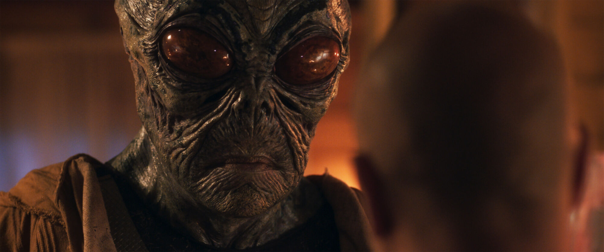 Scene Image 5