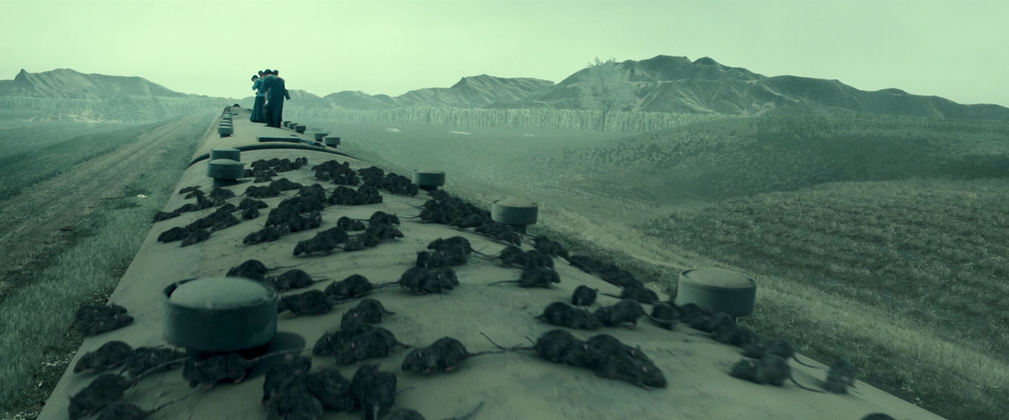Scene Image 3