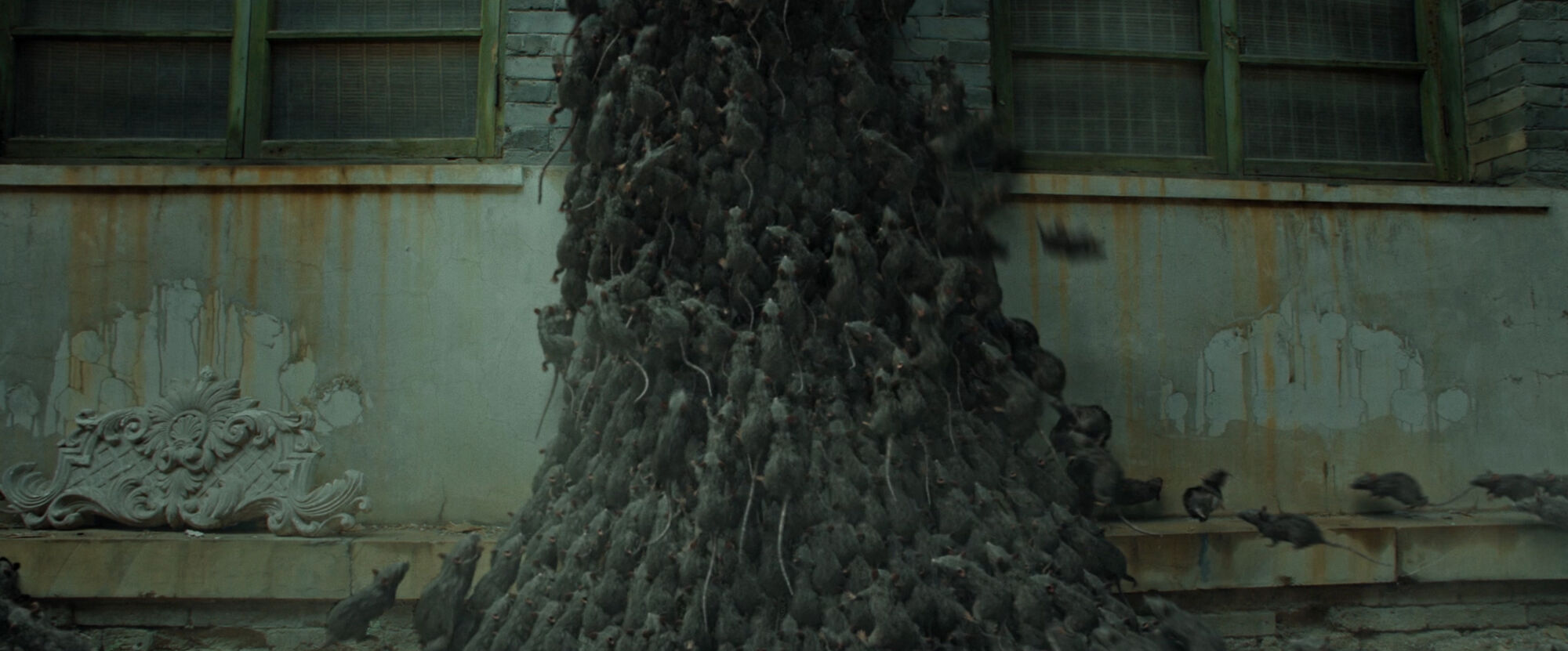 Scene Image 5
