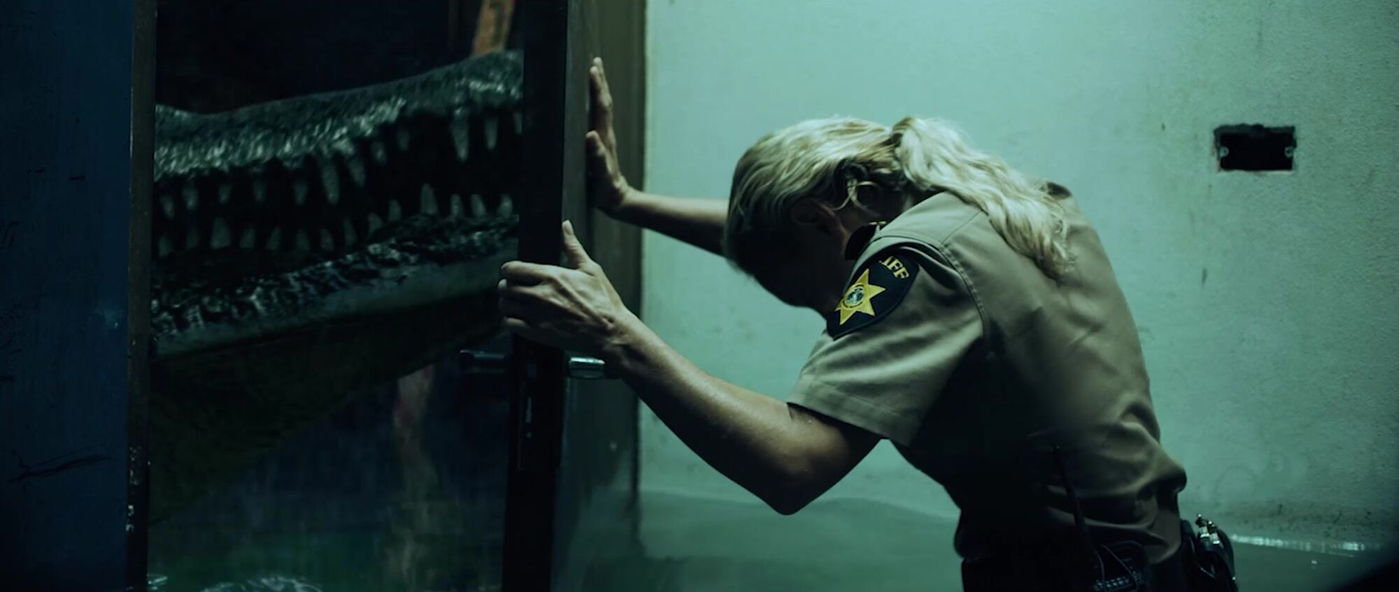 Scene Image 5