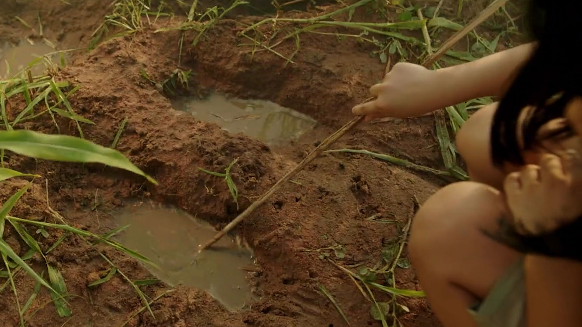 Scene Image 7