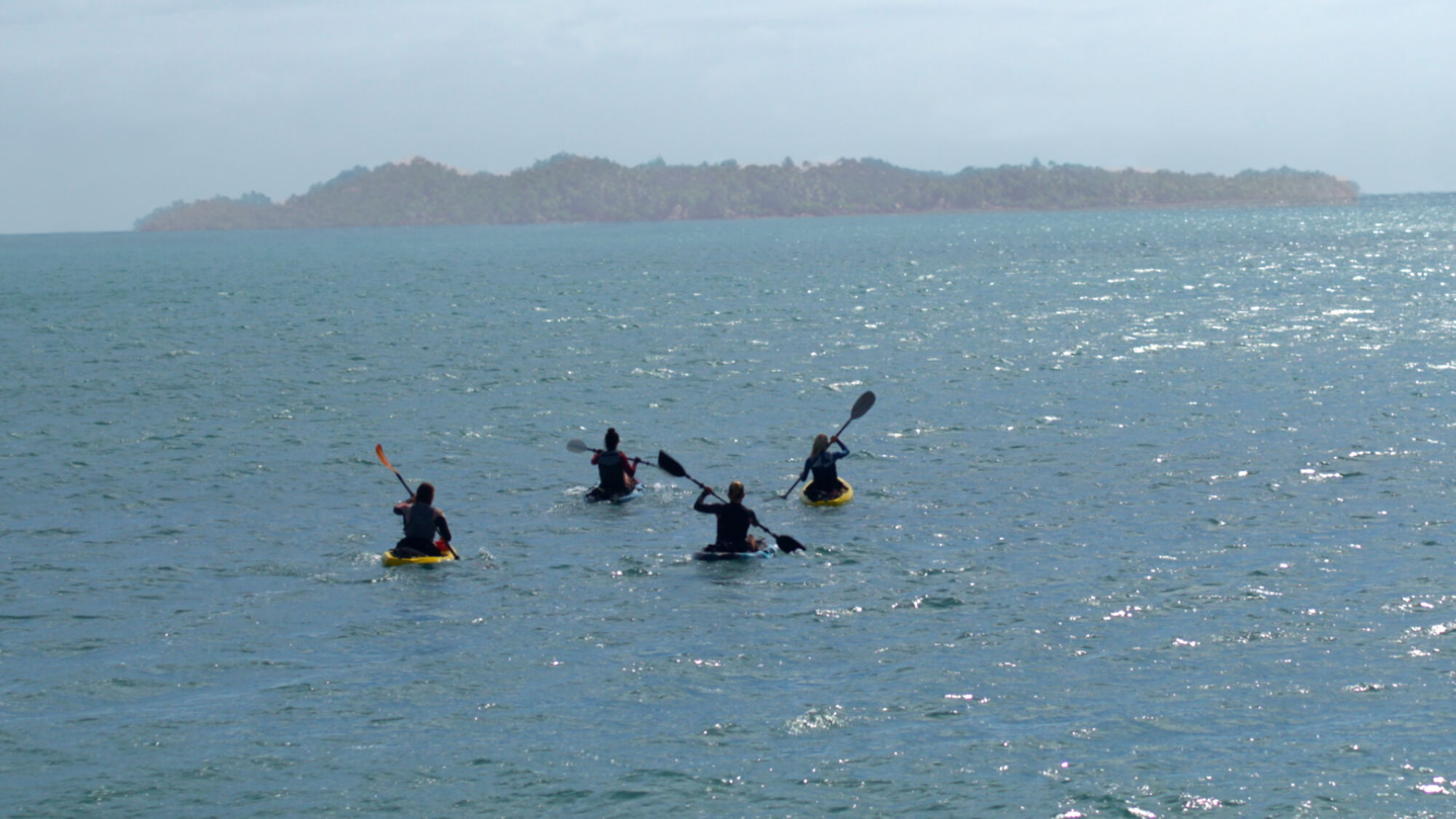 Scene Image 3