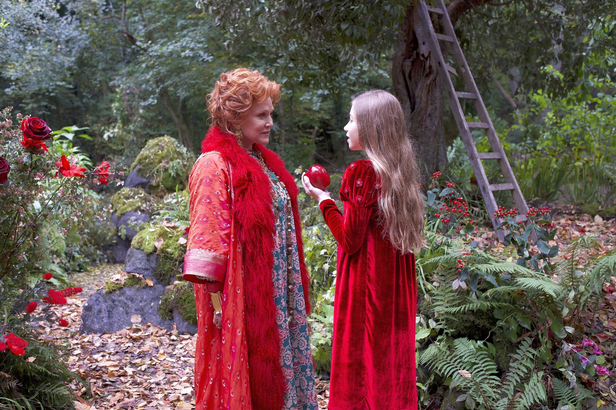 Scene Image 2