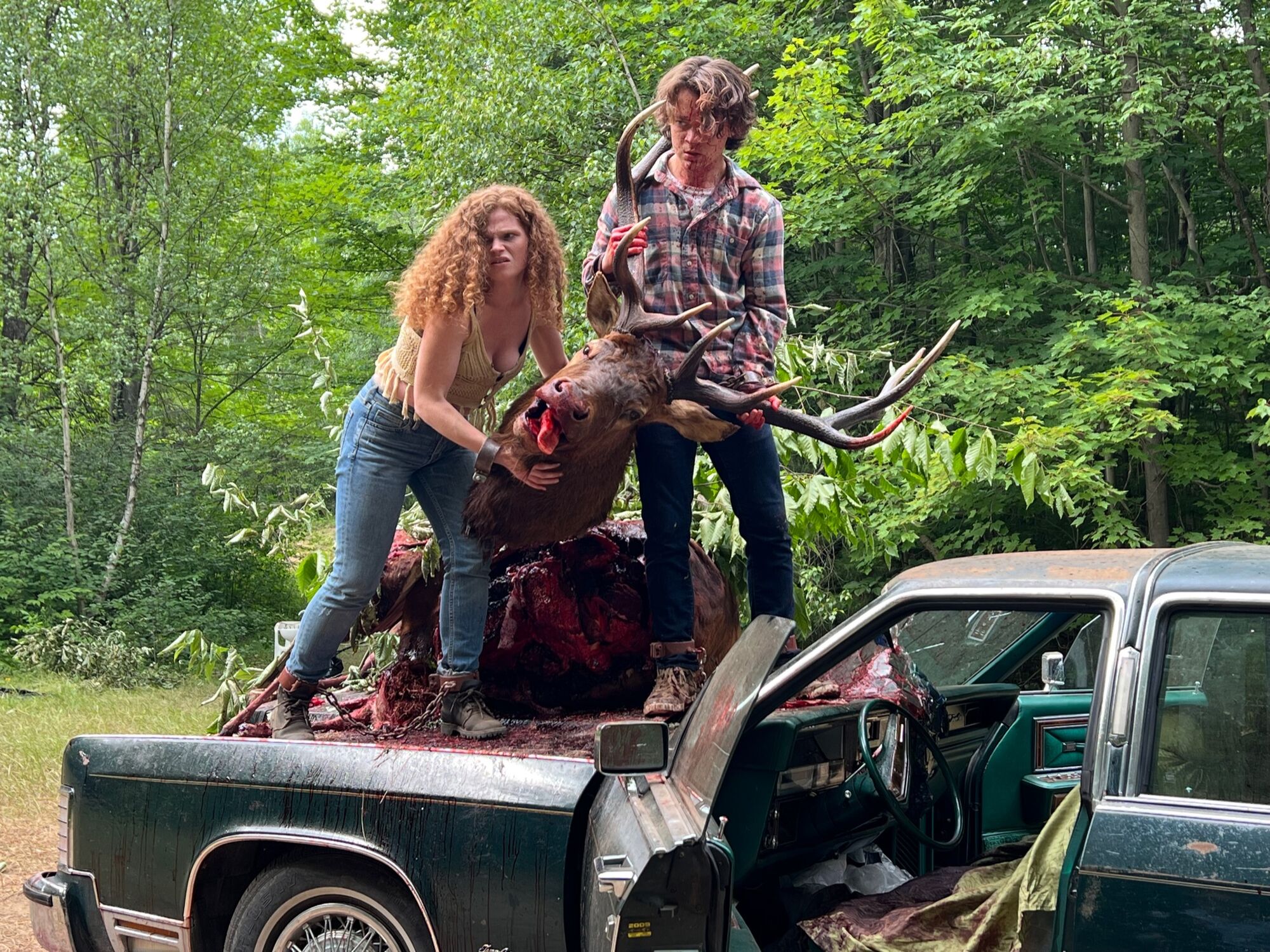 Scene Image 1