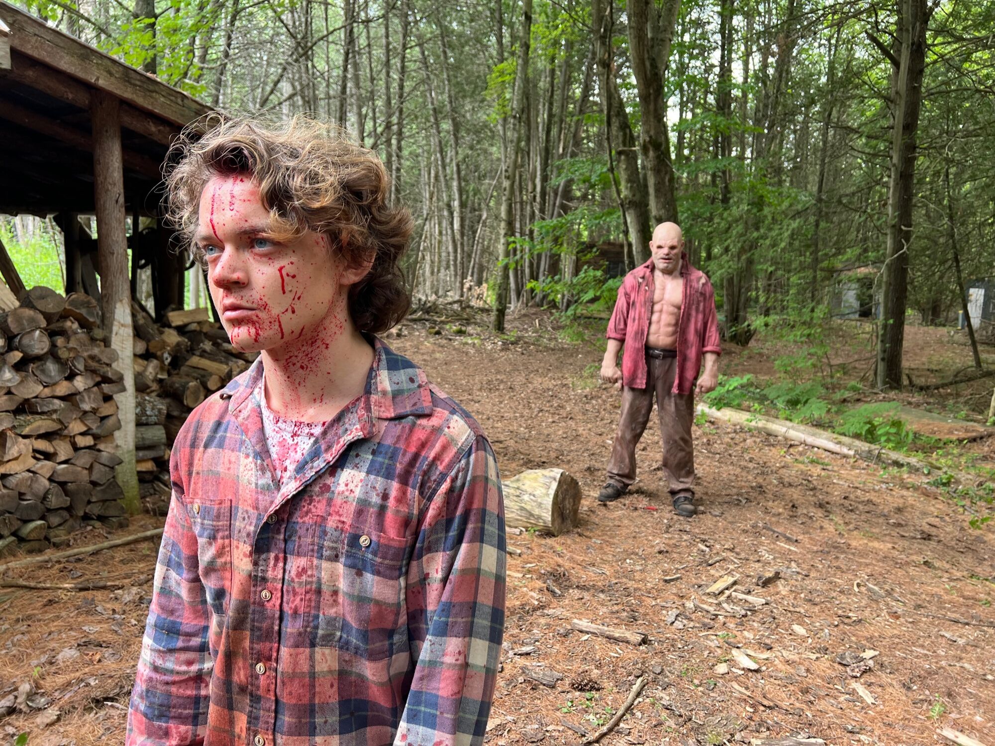 Scene Image 3
