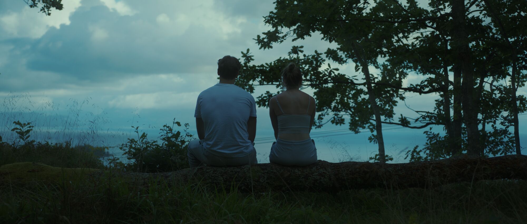 Scene Image 4
