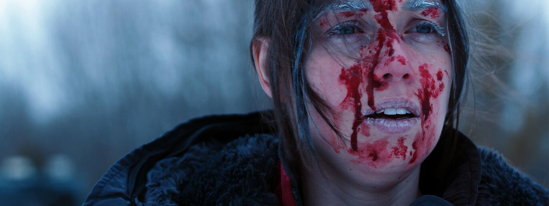 Blood and Snow