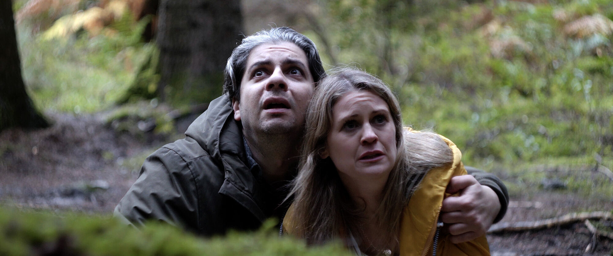 Scene Image 1