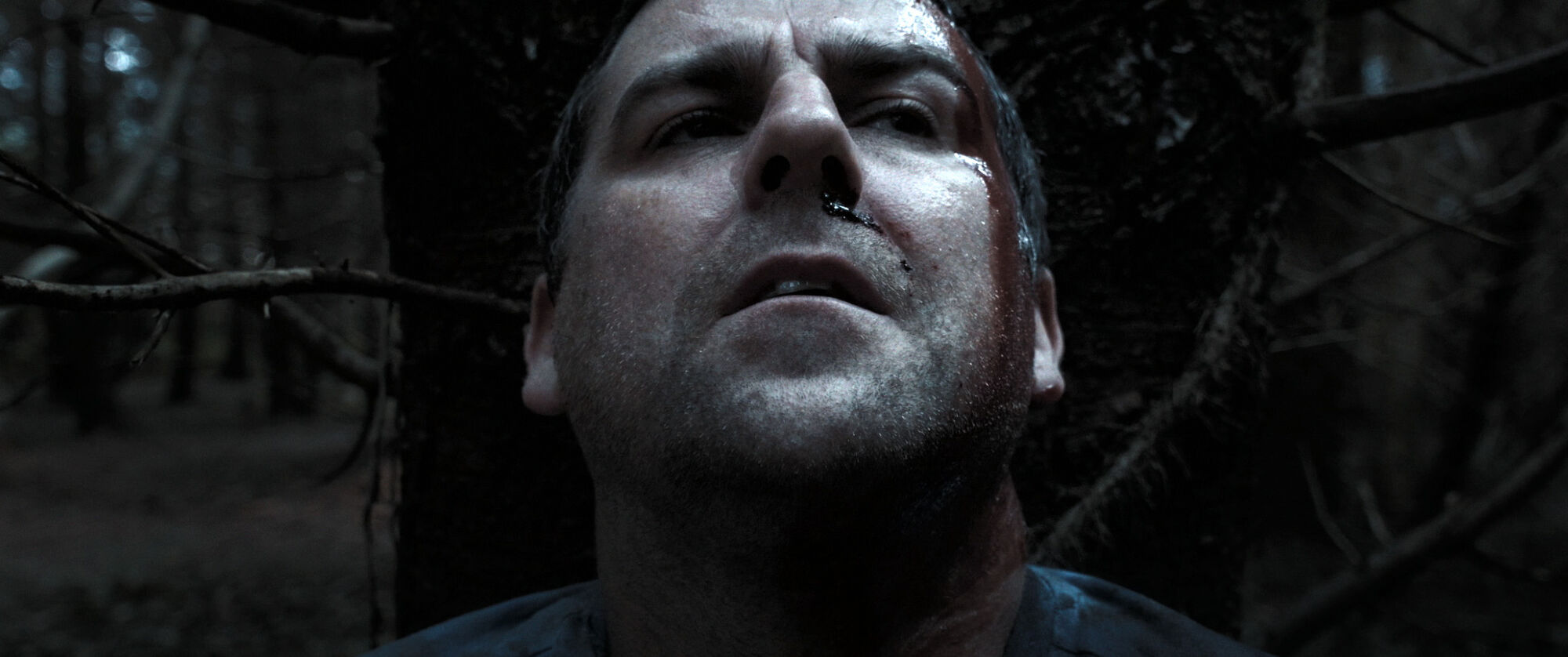 Scene Image 5