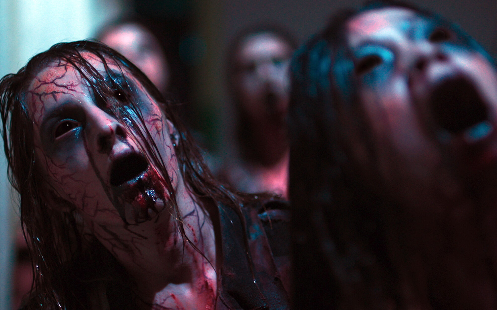 Scene Image 2