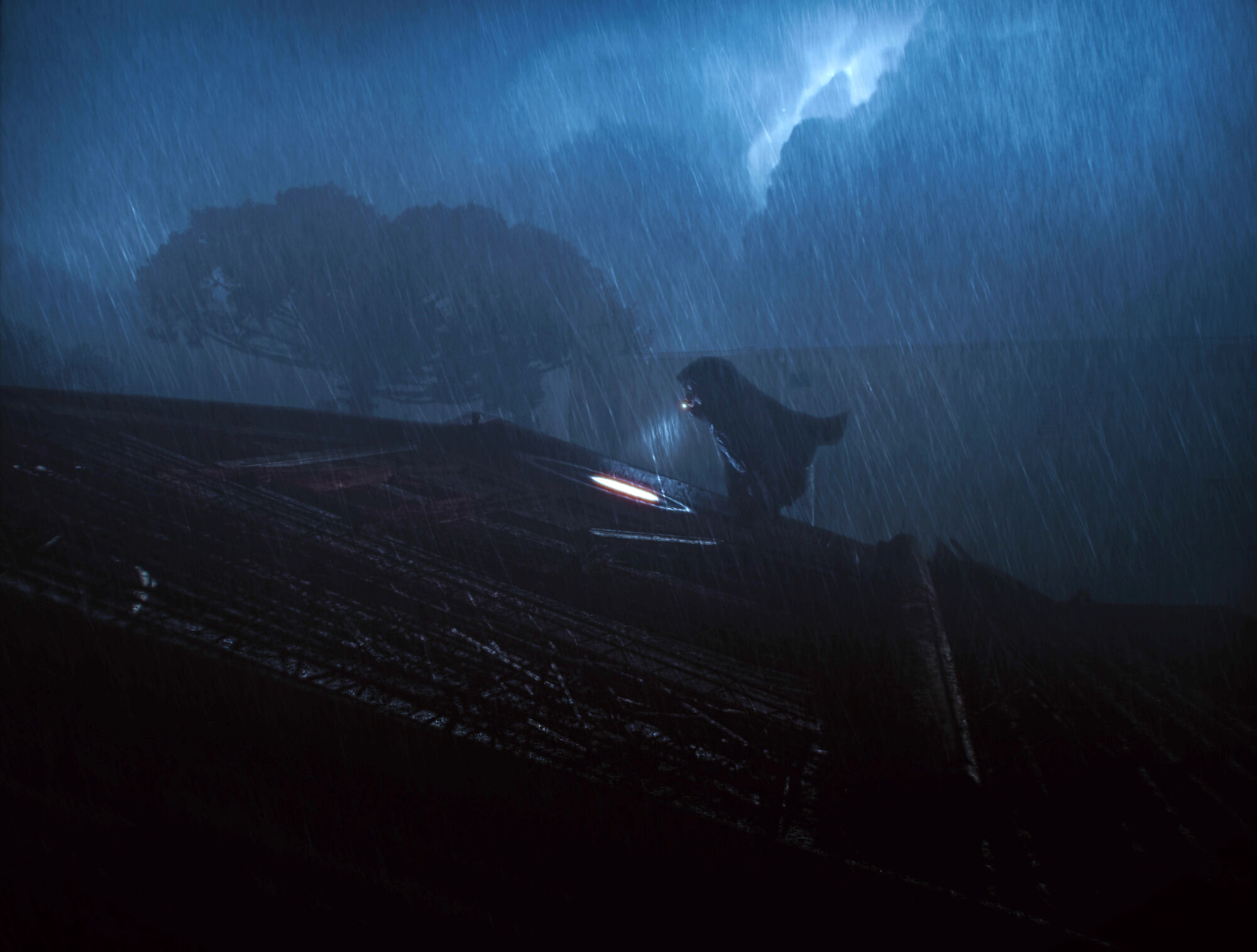 Scene Image 7