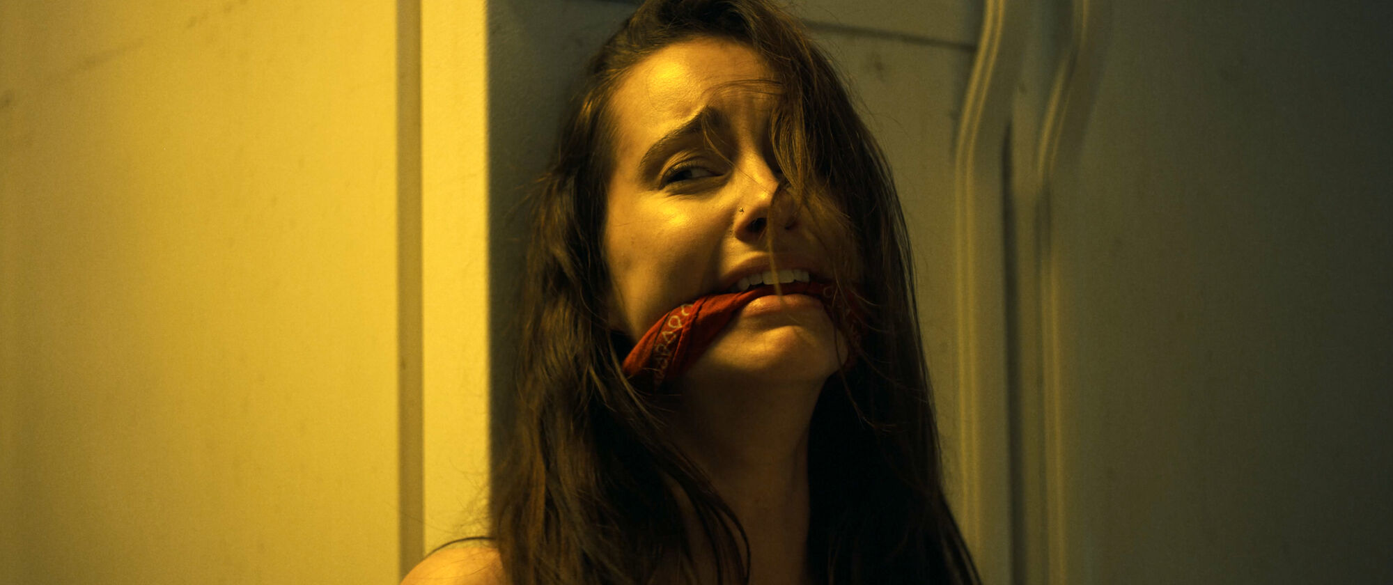 Scene Image 1