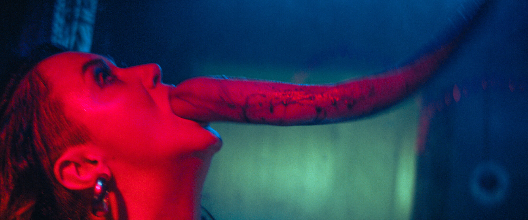 Scene Image 6