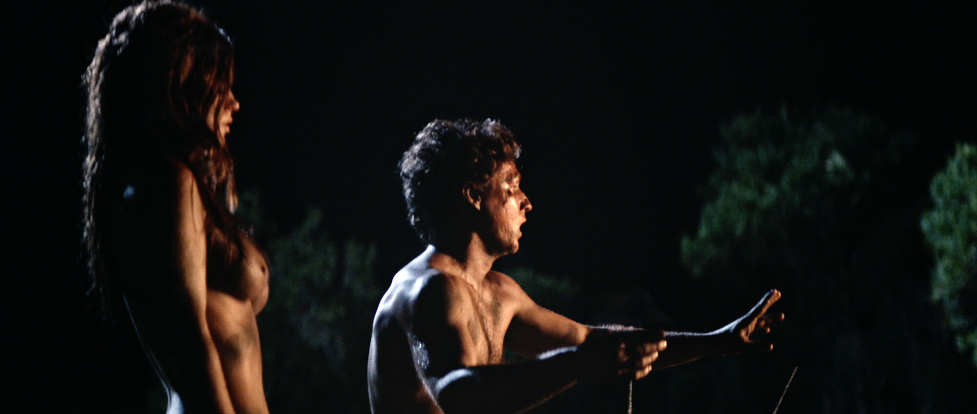 Scene Image 2
