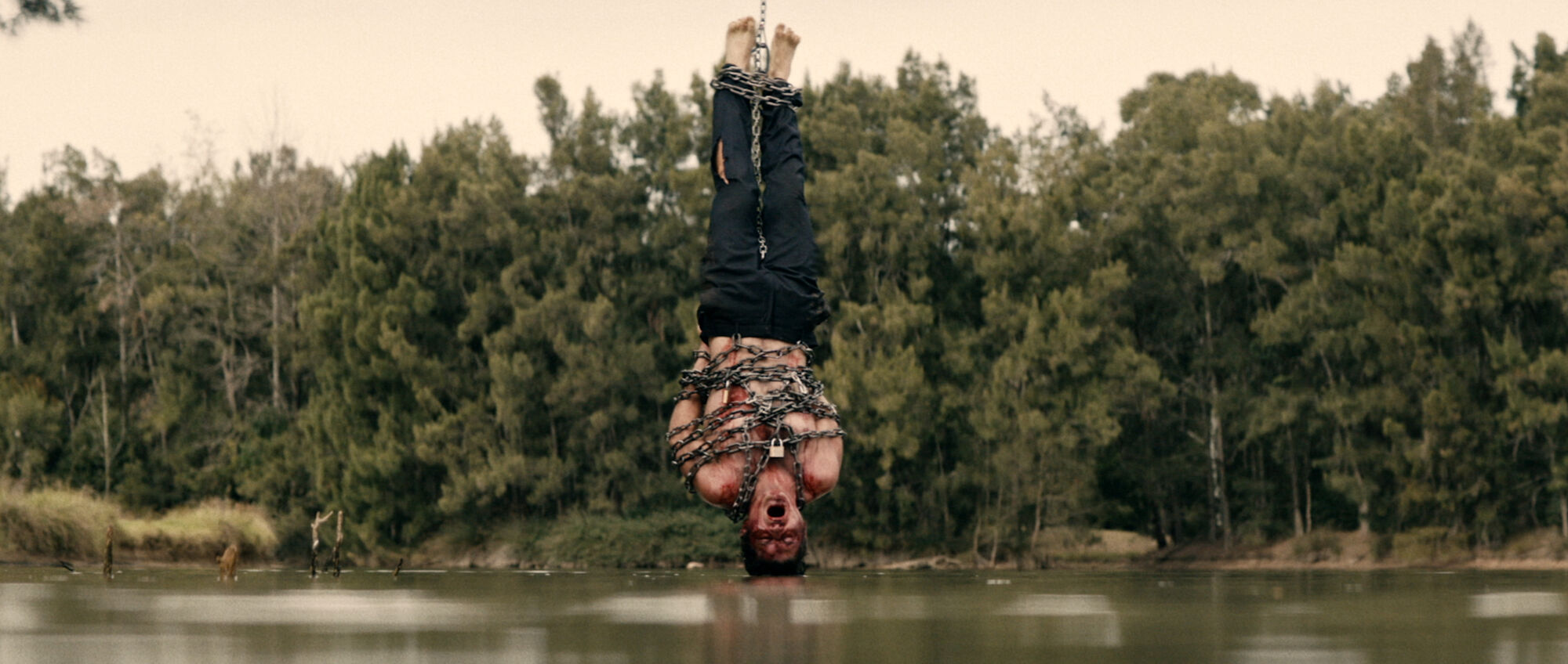 Scene Image 7