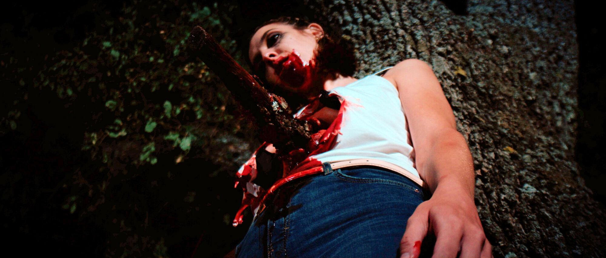 Scene Image 6