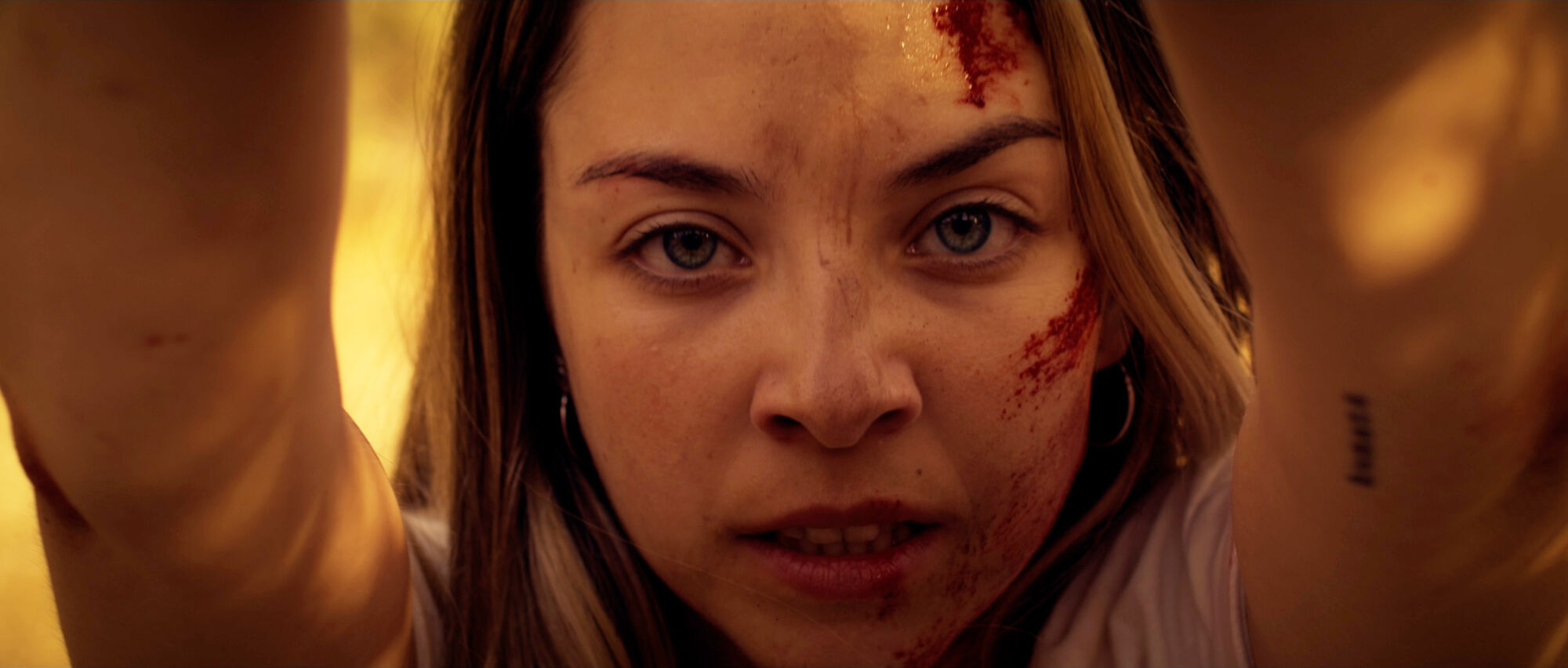 Scene Image 7