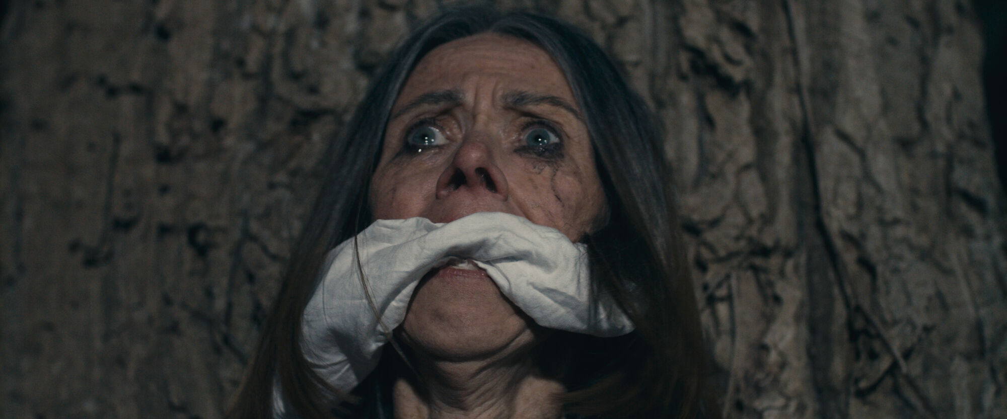 Scene Image 8