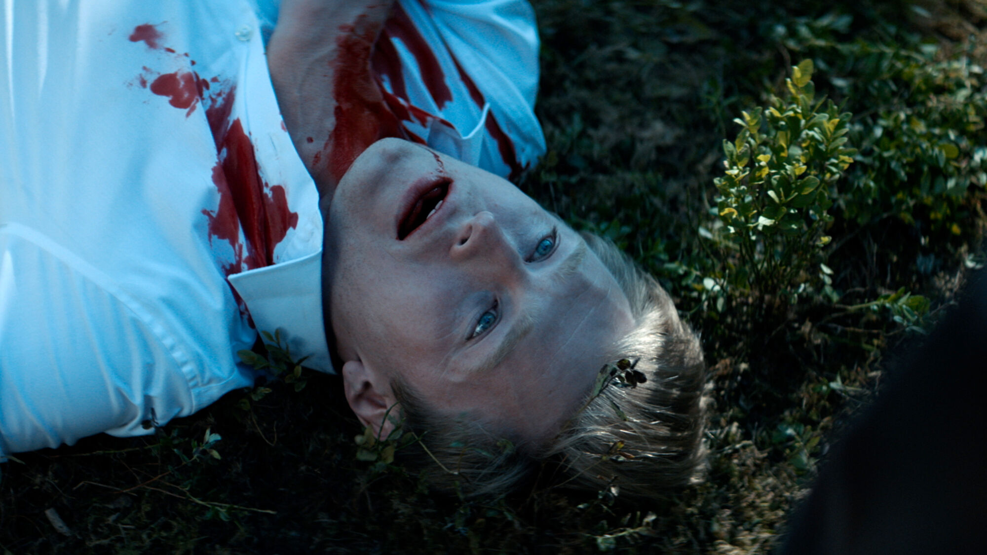 Scene Image 3
