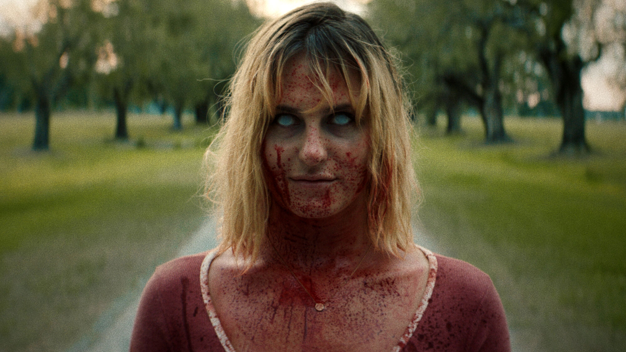 Scene Image 2