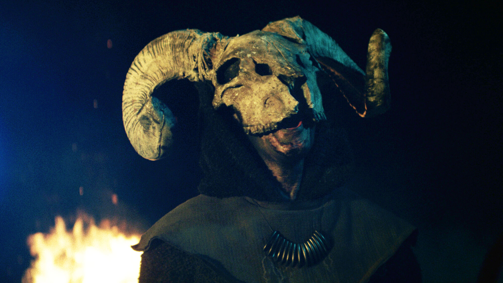 Scene Image 8