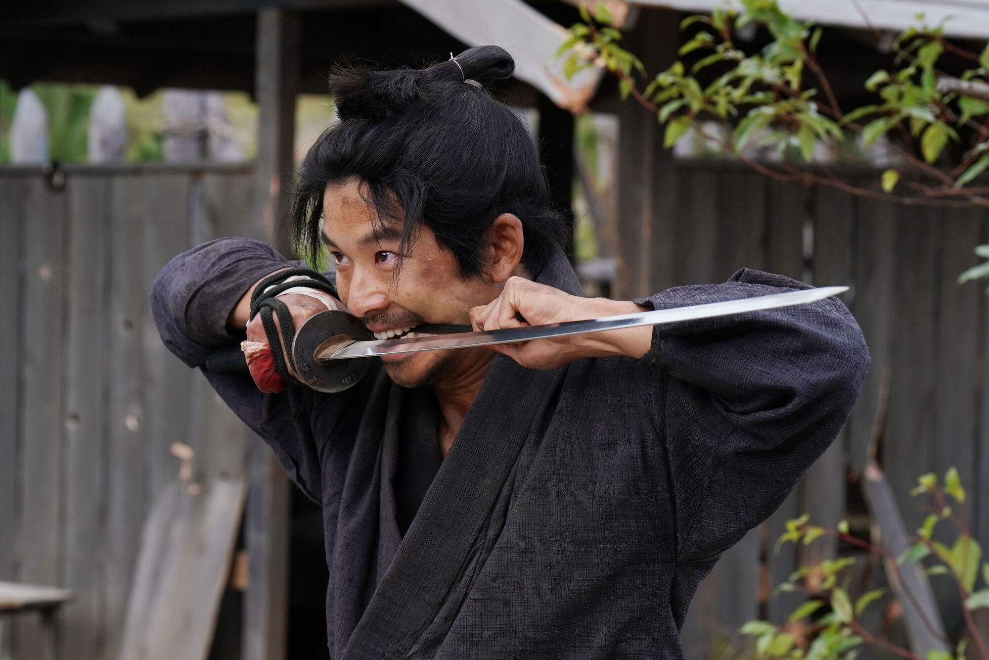 Scene Image 5