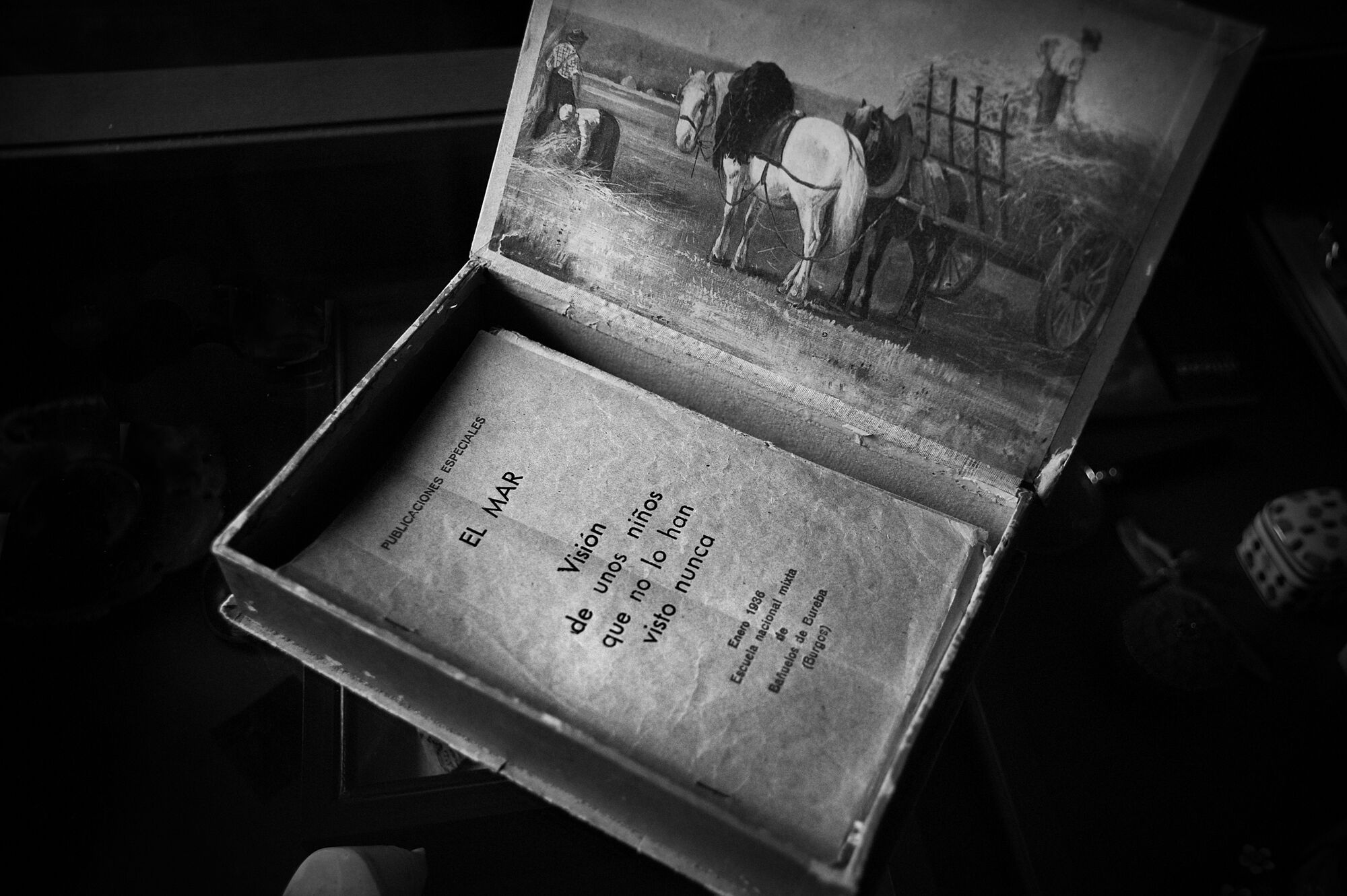 Scene Image 3
