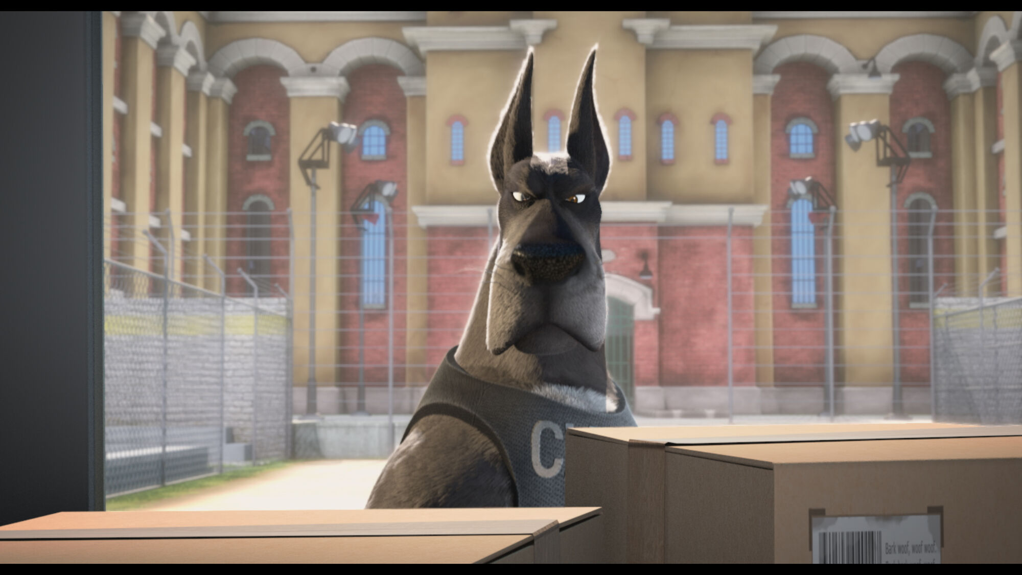 Scene Image 1
