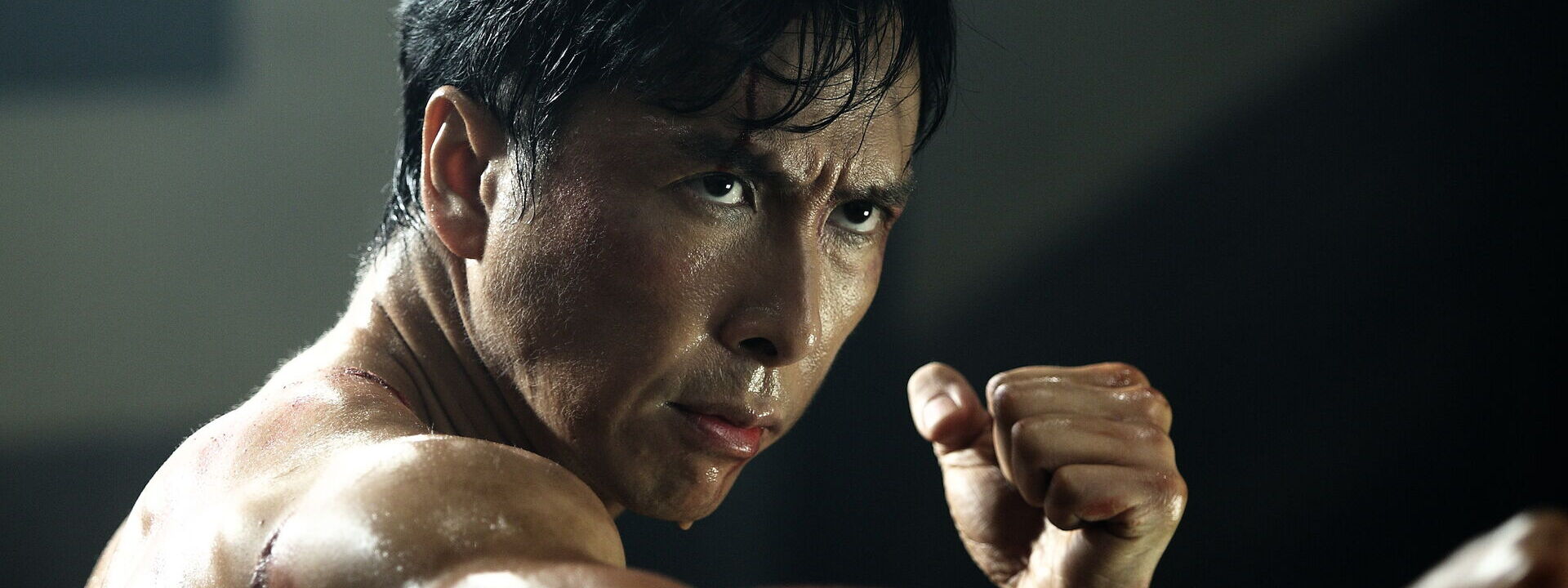 Legend of the Fist