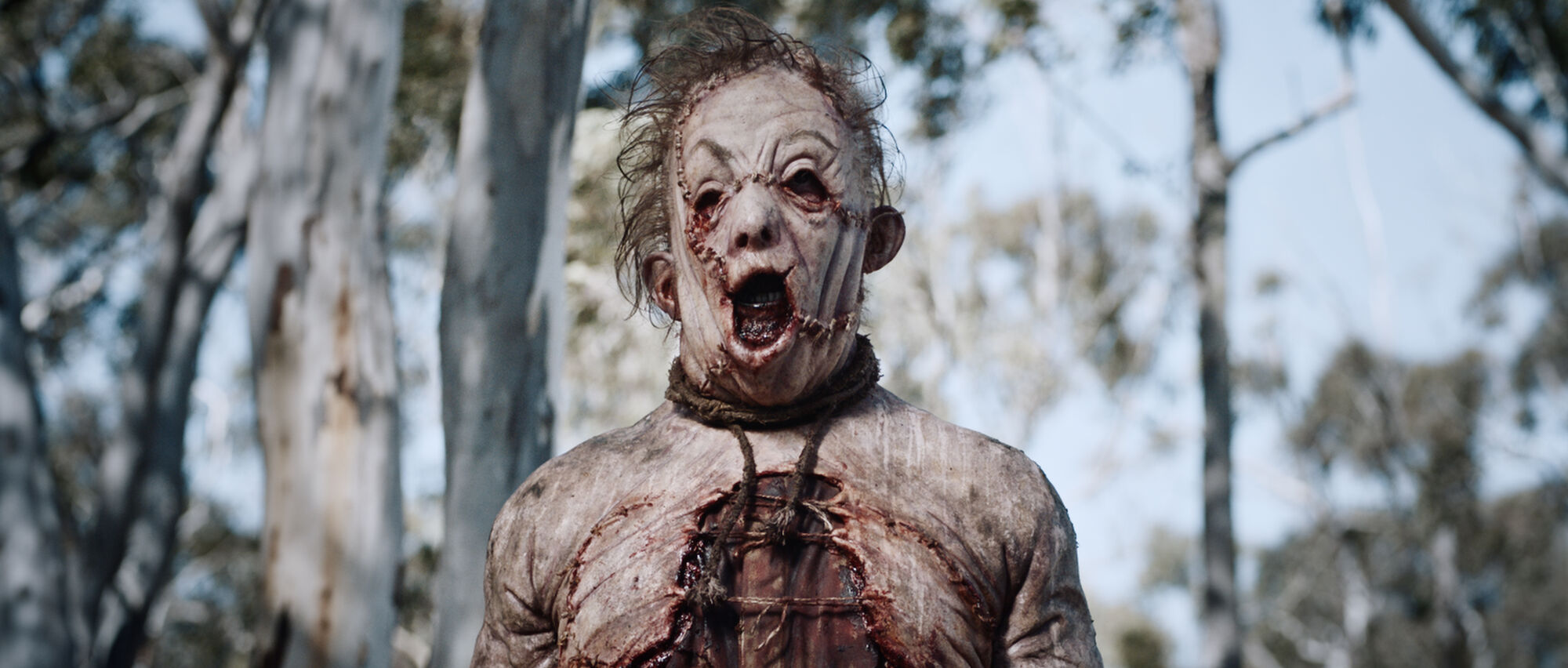 Scene Image 1