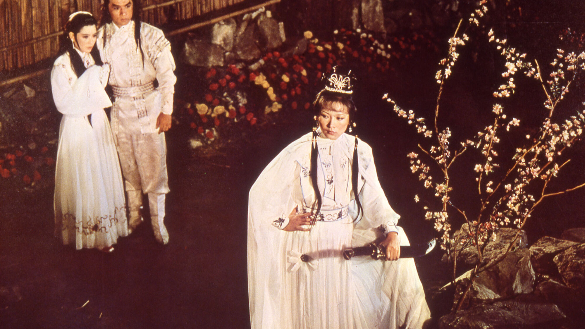 Scene Image 4