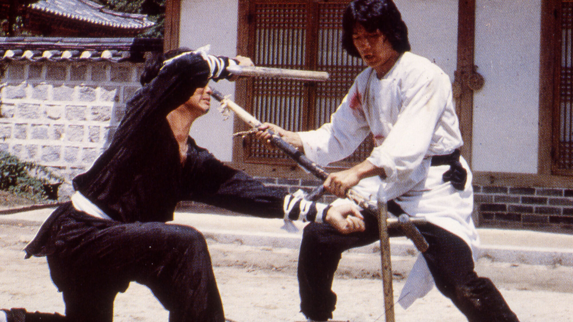 Scene Image 5