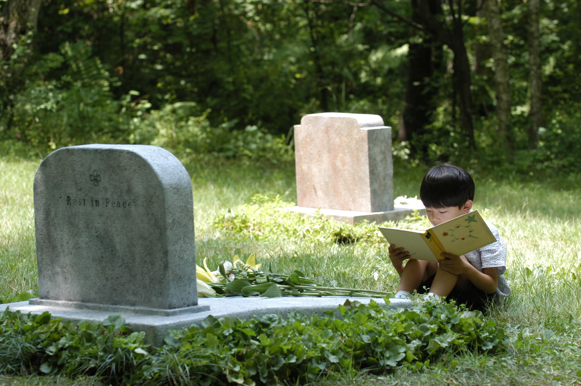 Scene Image 2